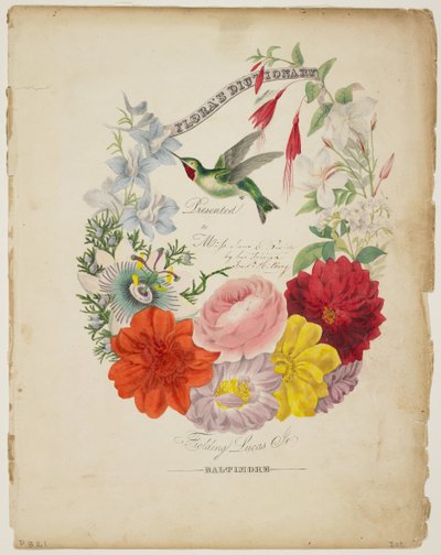 Präsentationsseite, Blumengirlande und Kolibri, aus Flora
